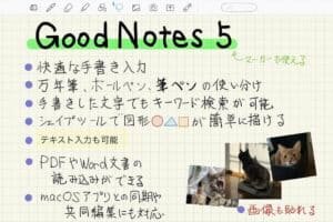 GoodNotes5のWindows版の使い方と評価