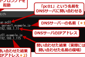 Nslookupの使い方Windows版