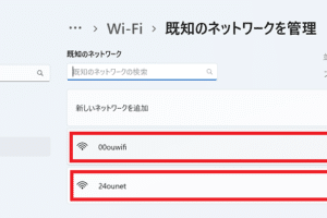 WindowsでDNSを確認する方法