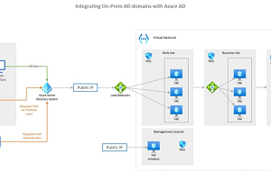 Visio Professional()