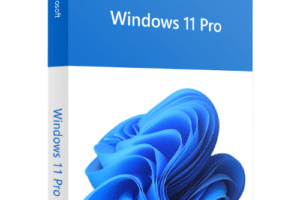 «Windows 11 Pro »