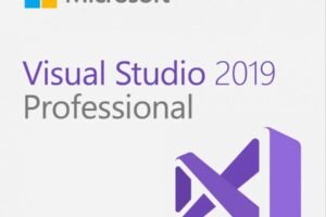 Visual Studio 2019 Professional